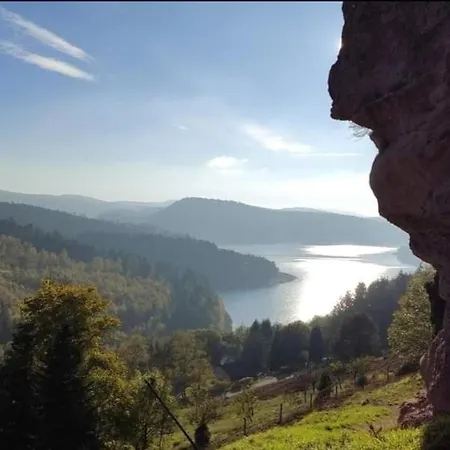Gite Les 2 Gros Pierre-Percée Zimmer foto